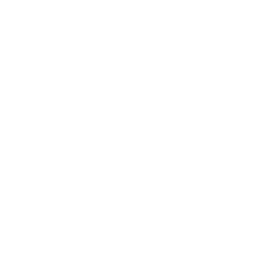15 physical therapy