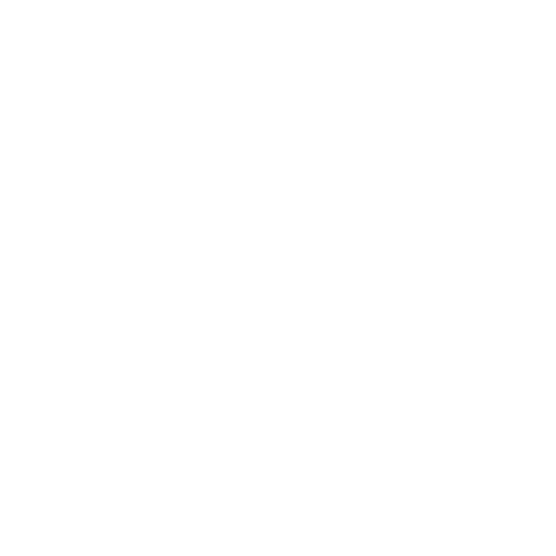 16 chiropractic