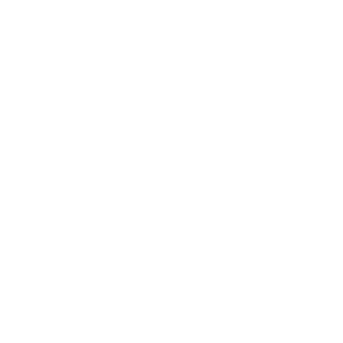 20 knee & low back bracing
