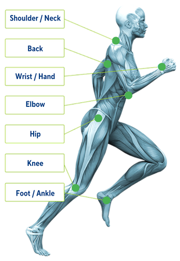 Shoulder Neck regenerative medicine png